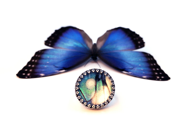 Real Butterfly Wing Rings