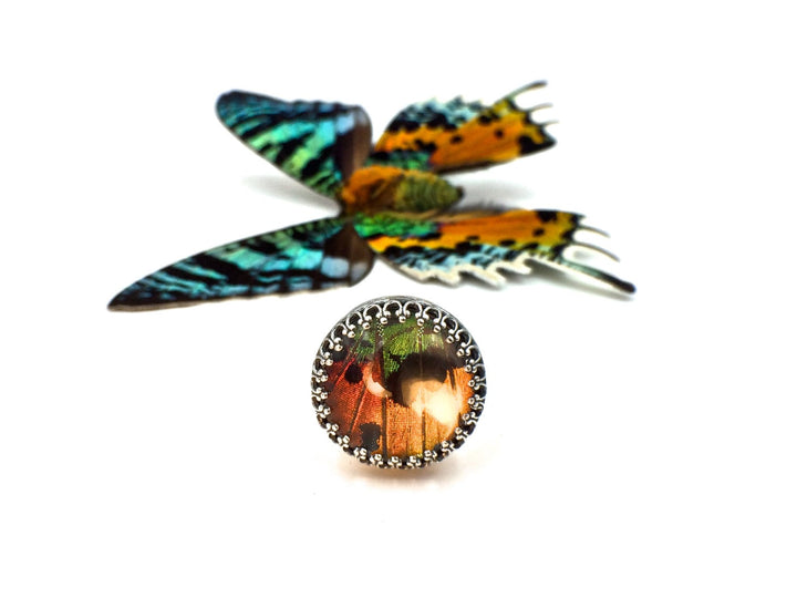 Real Butterfly Wing Rings